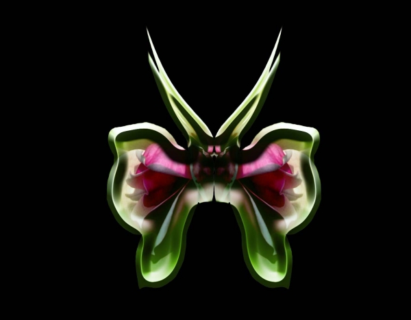 Creation of Colorful Butterfly: Step 2
